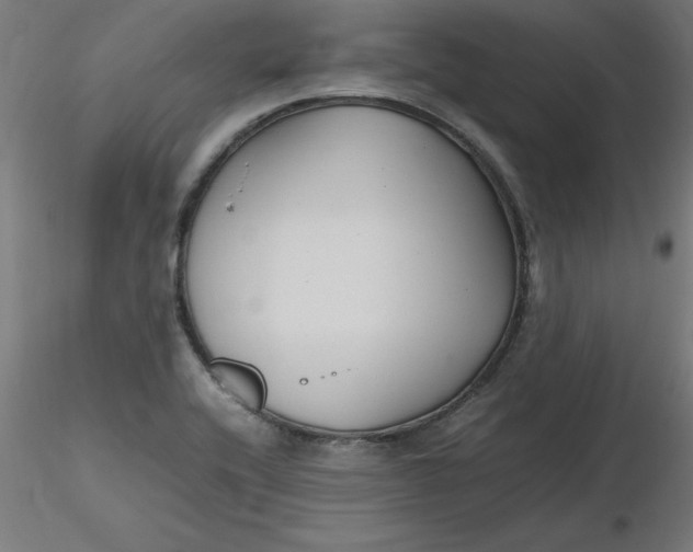 X0000116661416200912291628