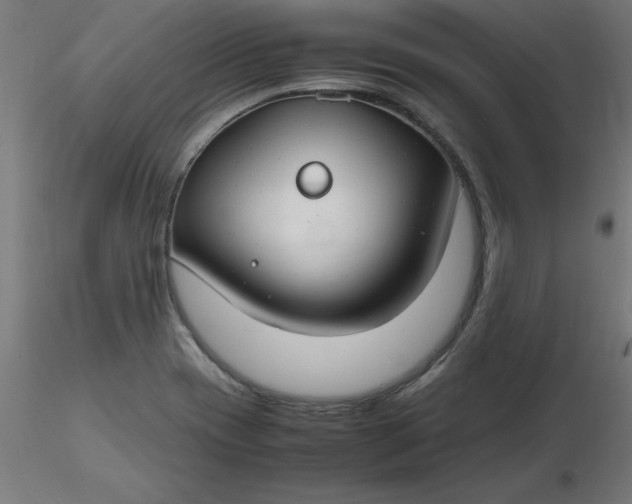 X0000116661417200912291628