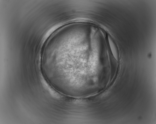 X0000116661418200912291628