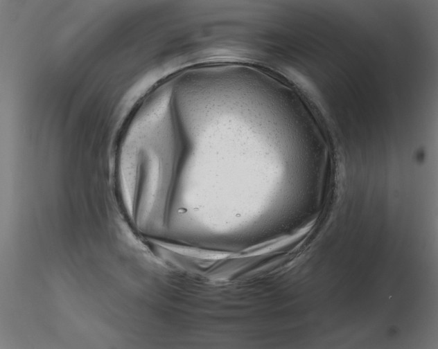 X0000116661419200912291628