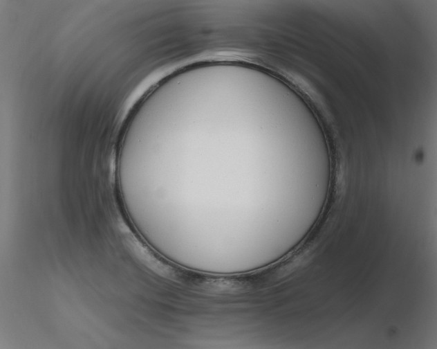 X0000116661420200912291628