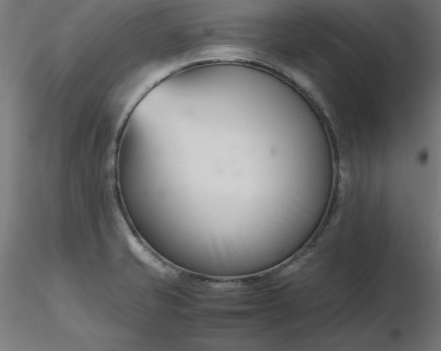 X0000116661421200912291628