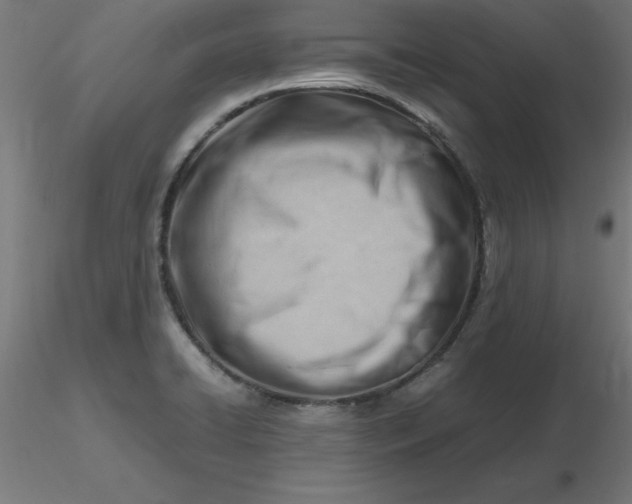 X0000116661422200912291628