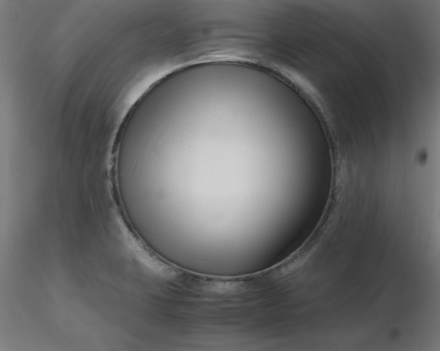 X0000116661423200912291628