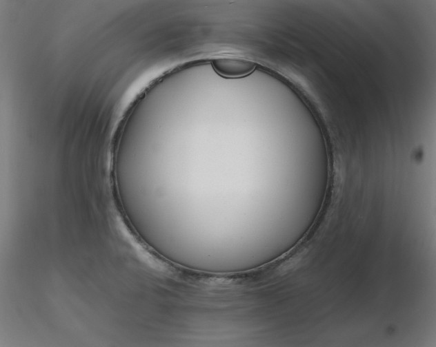 X0000116661424200912291628