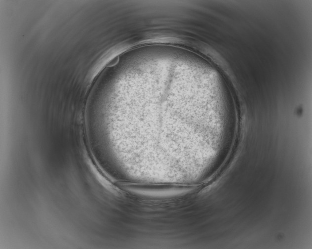 X0000116661425200912291628