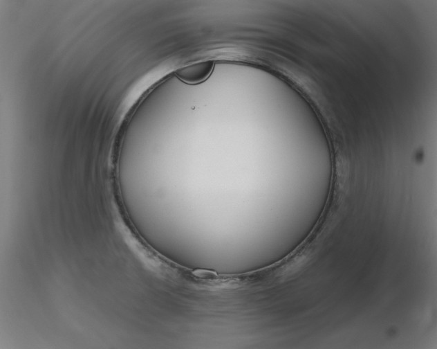 X0000116661426200912291628