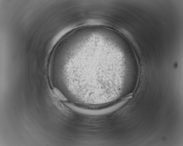 X0000116661427200912291628