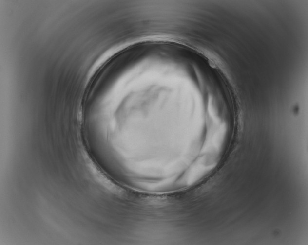 X0000116661428200912291628