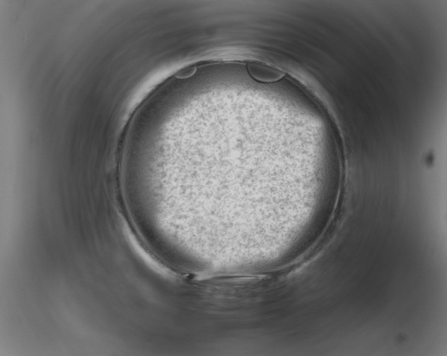 X0000116661429200912291628