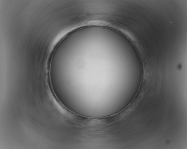 X0000116661430200912291628