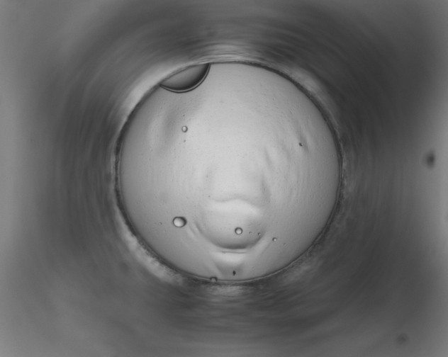 X0000116661431200912291628