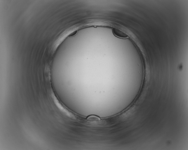 X0000116661433200912291628