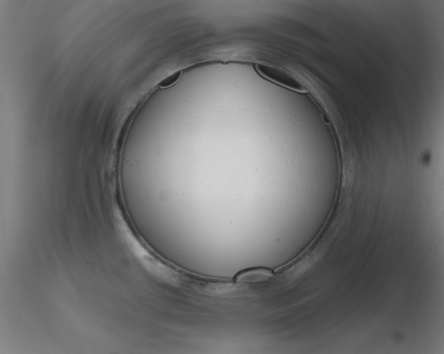 X0000116661434200912291628