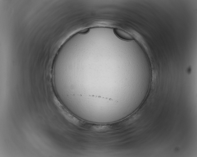 X0000116661435200912291628