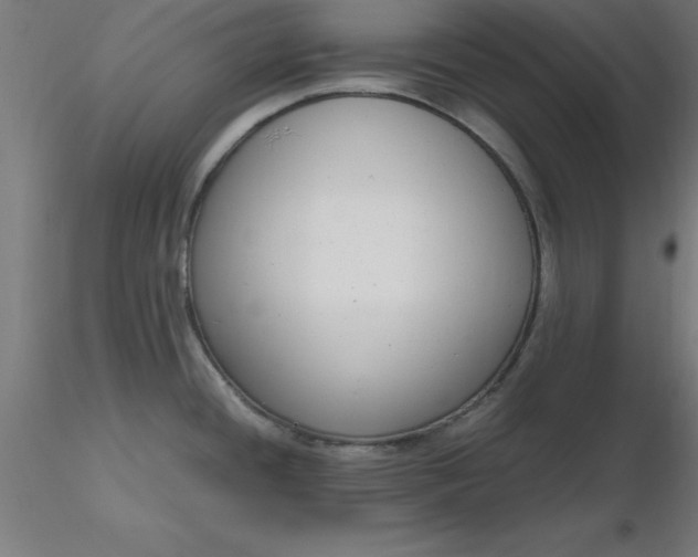 X0000116661436200912291628