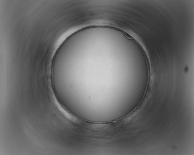 X0000116661437200912291628