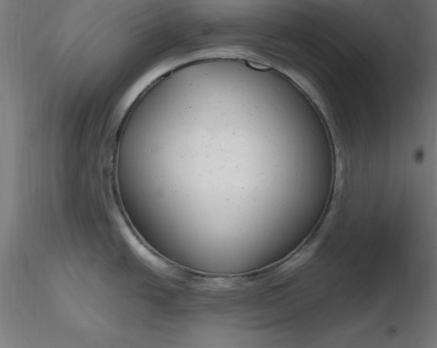 X0000116661438200912291628