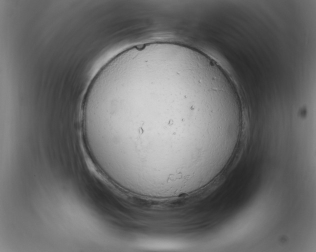 X0000116661439200912291628