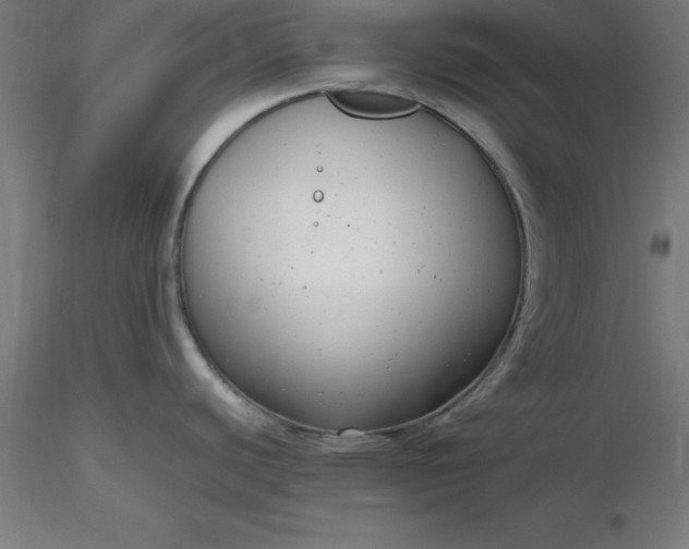 X0000116661440200912291628