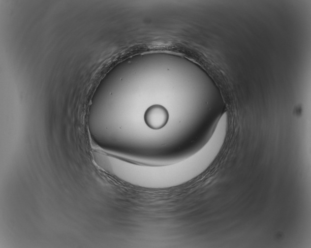 X0000116661441200912291627