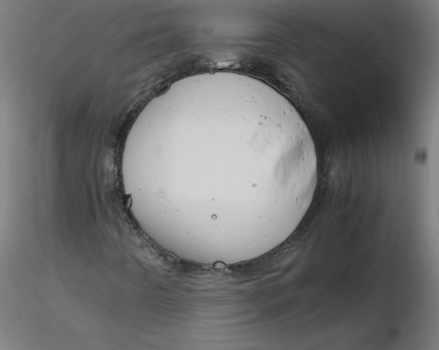 X0000116661442200912291627