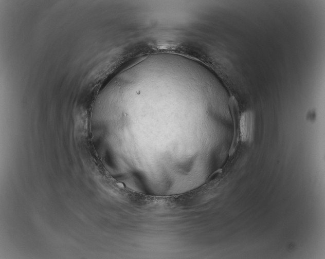 X0000116661443200912291627