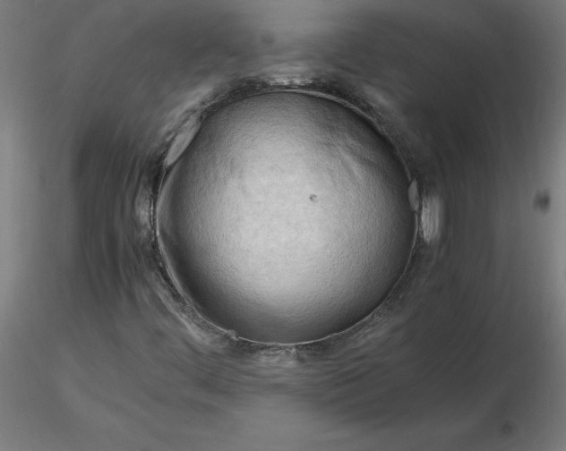 X0000116661444200912291627