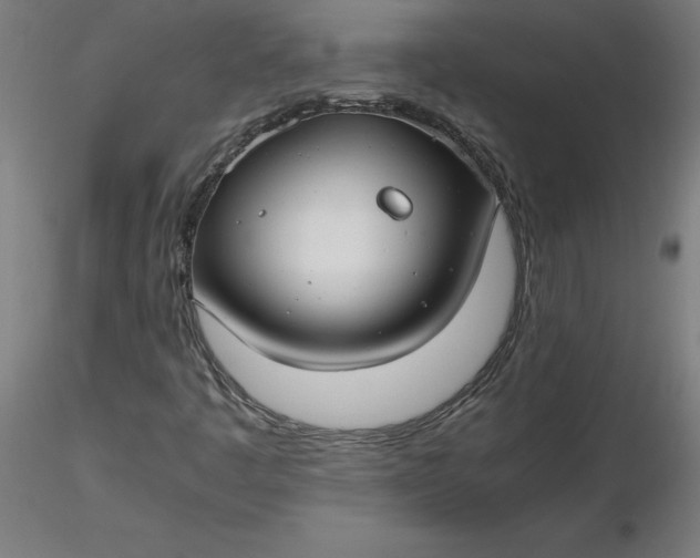 X0000116661445200912291627