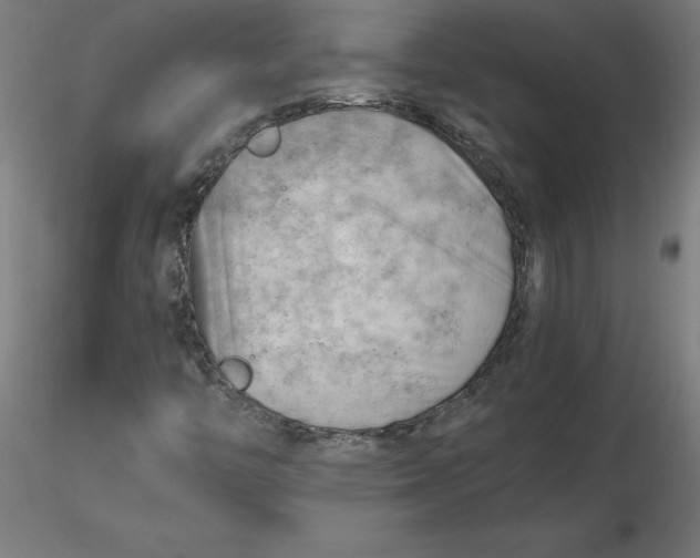 X0000116661446200912291627