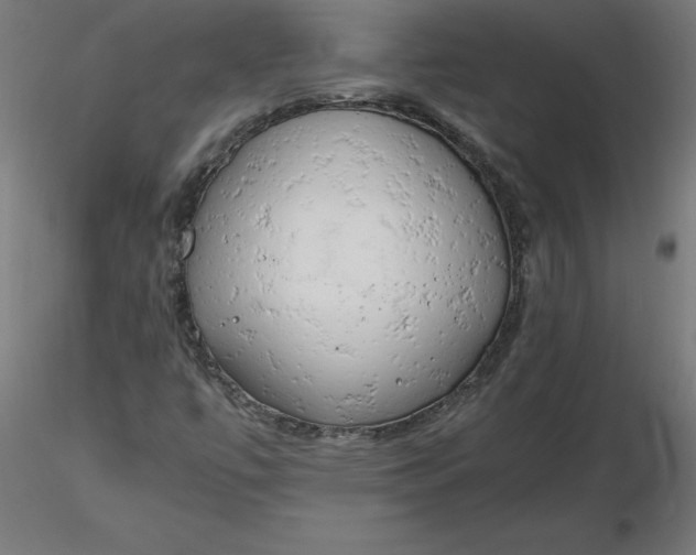 X0000116661447200912291627