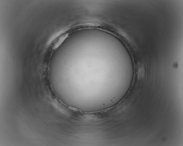 X0000116661448200912291627