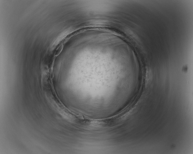 X0000116661449200912291627