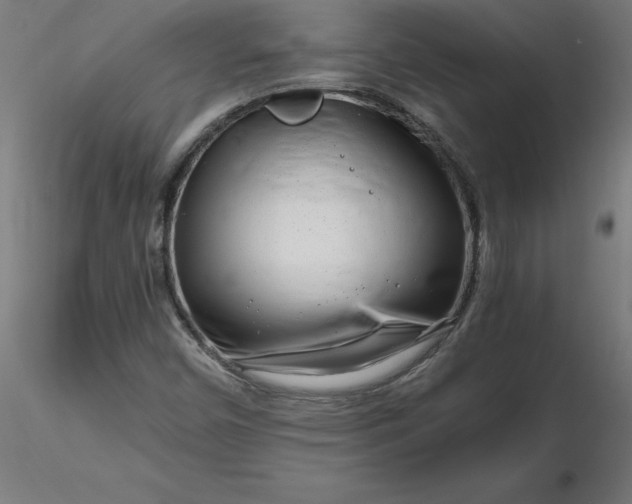 X0000116661450200912291627