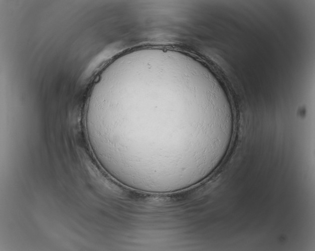 X0000116661451200912291627