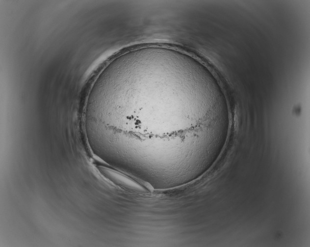 X0000116661452200912291627