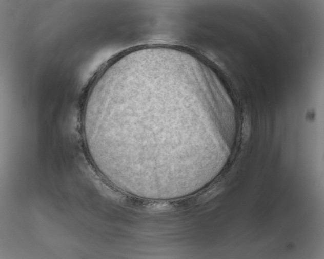 X0000116661454200912291627