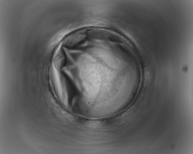 X0000116661455200912291627