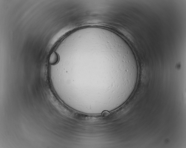 X0000116661458200912291627