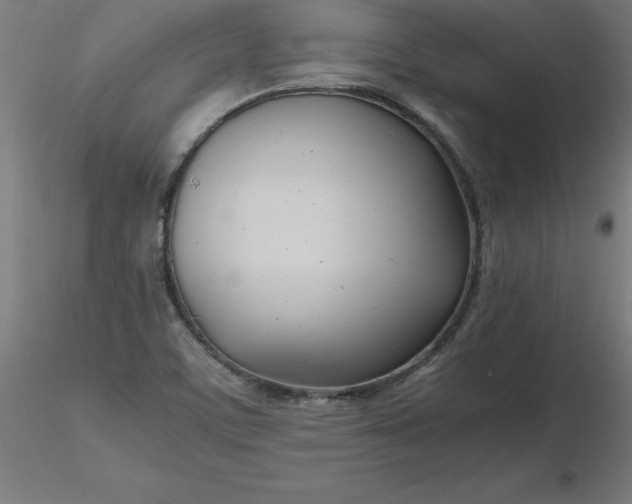 X0000116661459200912291627