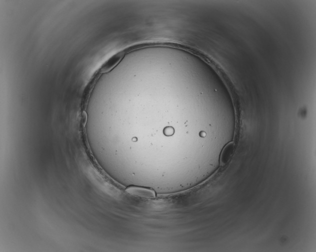 X0000116661460200912291627