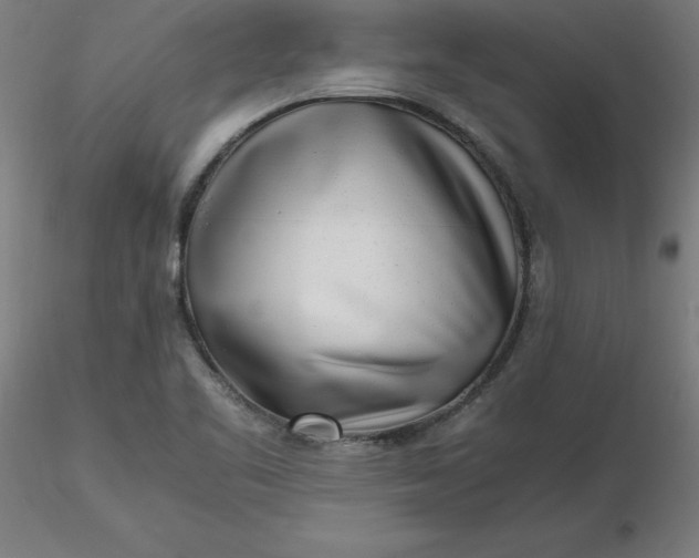 X0000116661461200912291627