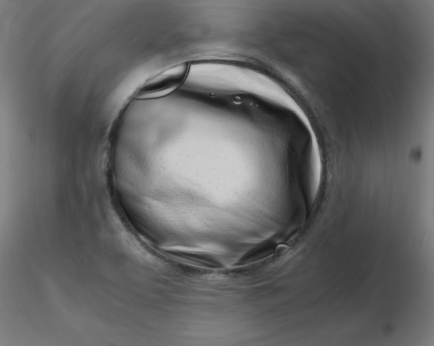 X0000116661463200912291627