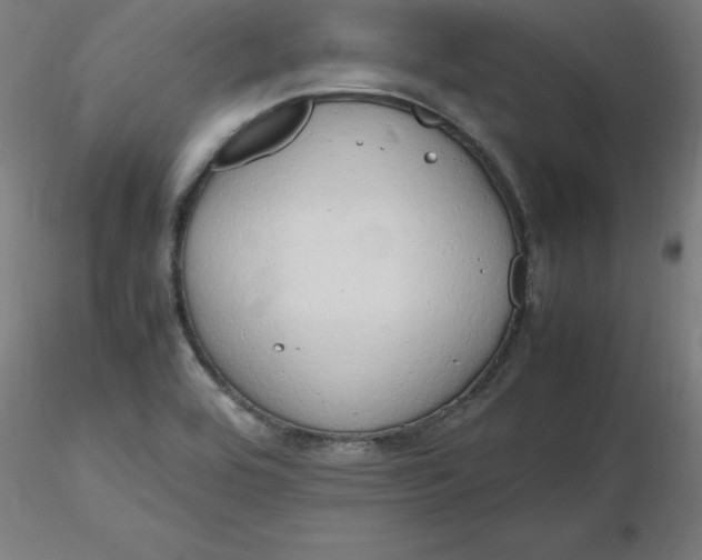 X0000116661464200912291627