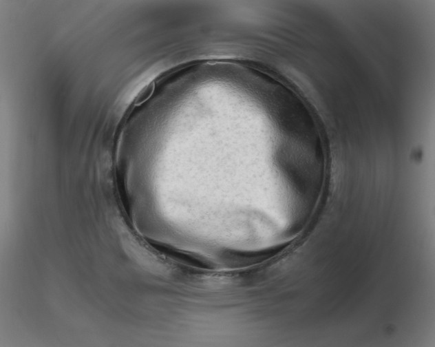 X0000116661465200912291627