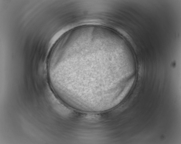 X0000116661466200912291627