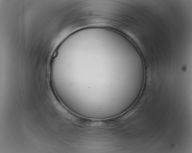 X0000116661467200912291627