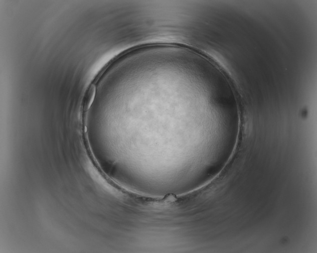 X0000116661468200912291627