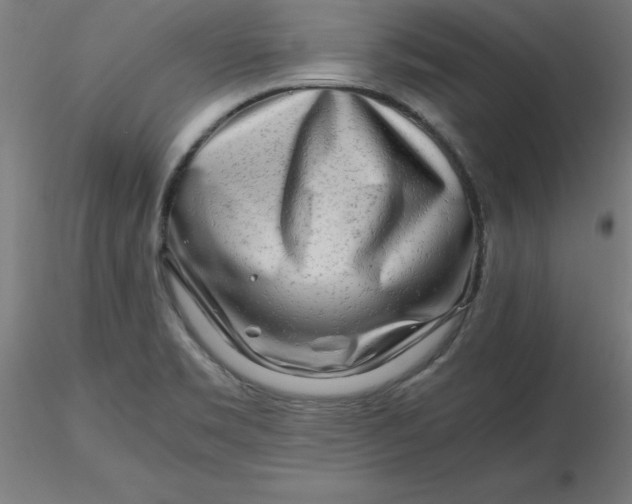 X0000116661469200912291627