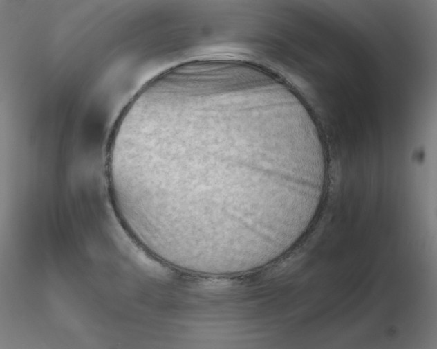 X0000116661470200912291627